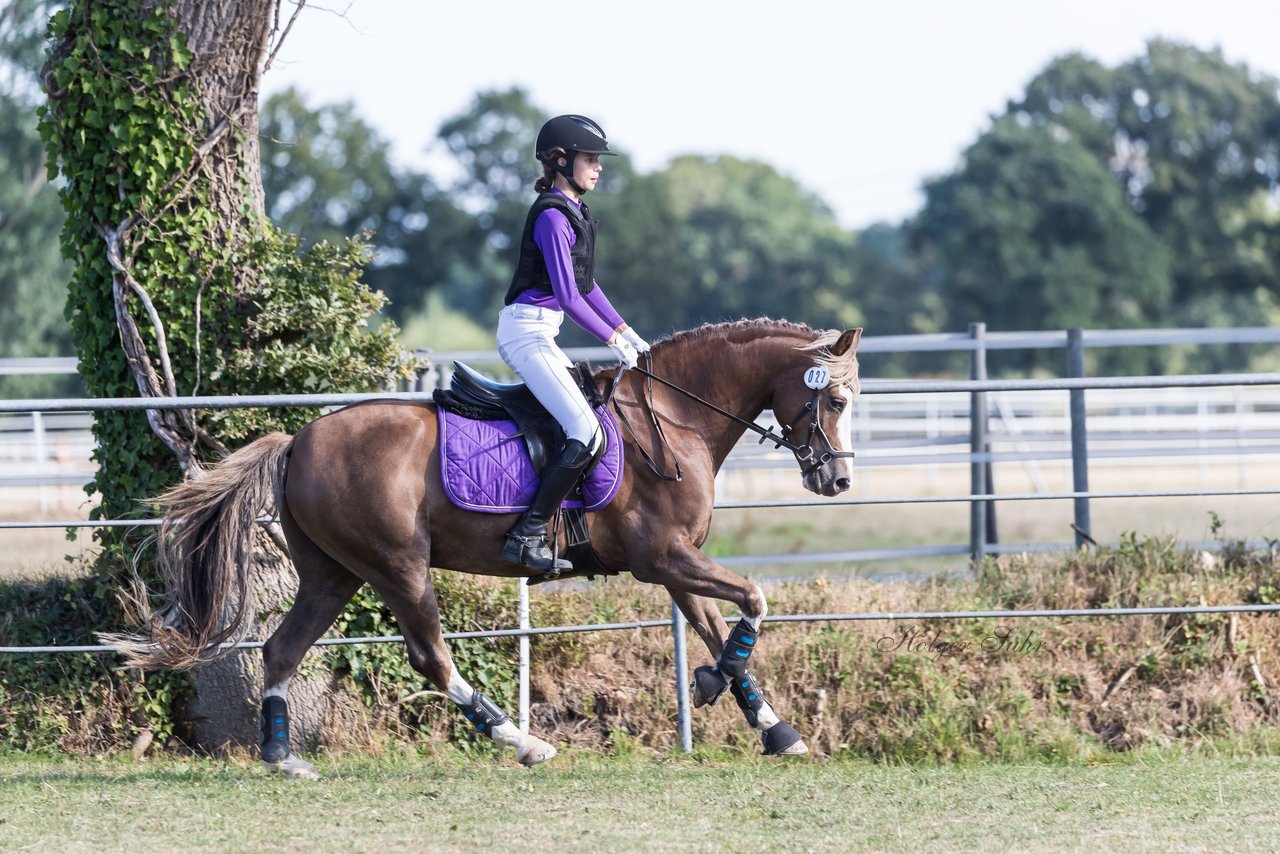 Bild 189 - Pony Akademie Turnier